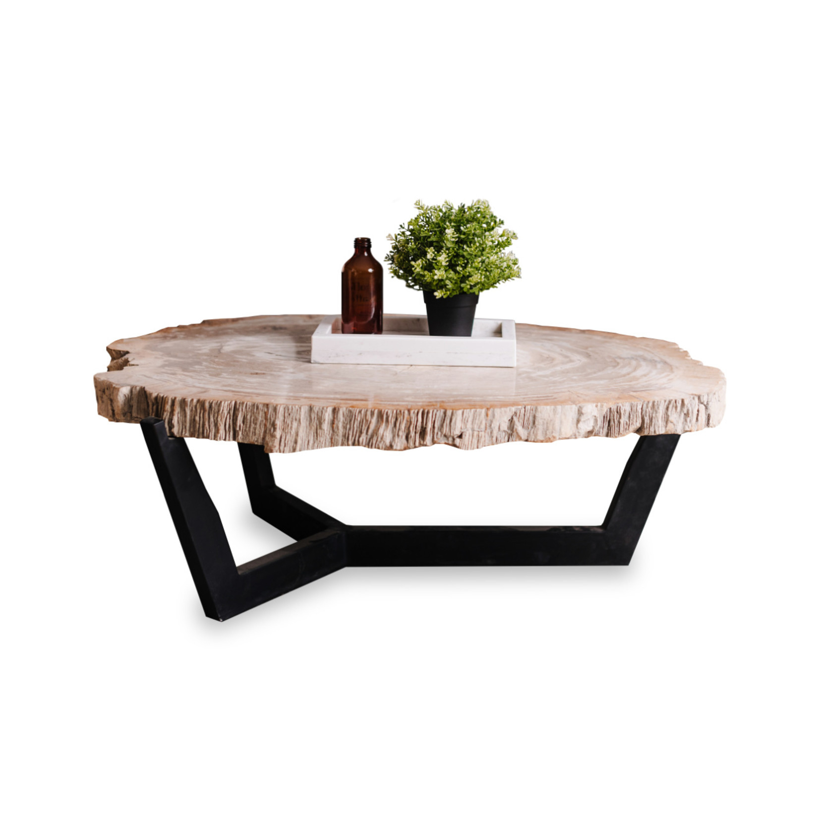 Fossil Wood Sphere Coffee Tables
